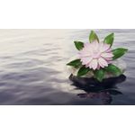 Casa si Gradina - Decoratiuni - Tablouri - Tablou canvas 90x50 cm, Natura cu Flori model 304, Multicolor - Infinity.ro