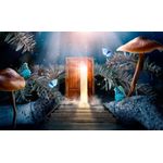 Casa si Gradina - Decoratiuni - Tablouri - Tablou canvas - Usa din natura, 90x50 cm - Infinity.ro