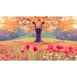 Casa si Gradina - Decoratiuni - Tablouri - Tablou canvas - Macii si copacul, 90x50 cm - Infinity.ro