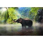 Casa si Gradina - Decoratiuni - Tablouri - Tablou canvas - Elefant in apa, 90x50 cm - Infinity.ro
