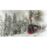 Casa si Gradina - Decoratiuni - Tablouri - Tablou canvas 75x50 cm, Locomotive model 136, Multicolor - Infinity.ro