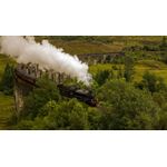Casa si Gradina - Decoratiuni - Tablouri - Tablou canvas Locomotive model 51, 90x50 cm - Infinity.ro