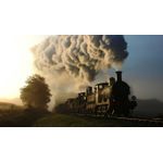 Casa si Gradina - Decoratiuni - Tablouri - Tablou canvas Locomotive model 181, 90x50 cm - Infinity.ro
