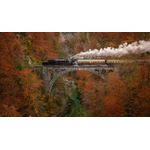 Casa si Gradina - Decoratiuni - Tablouri - Tablou canvas Locomotive model 17, 90x50 cm - Infinity.ro