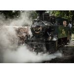 Casa si Gradina - Decoratiuni - Tablouri - Tablou canvas Locomotive model 145, 90x50 cm - Infinity.ro