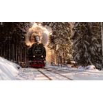 Casa si Gradina - Decoratiuni - Tablouri - Tablou canvas Locomotive model 157, 75x50 cm - Infinity.ro