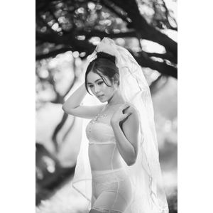 Casa si Gradina - Decoratiuni - Tablouri - Infinity.ro