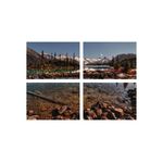 Casa si Gradina - Decoratiuni - Tablouri - Set tablouri Multicanvas 4 piese peisaj 99, 100x70 cm - Infinity.ro