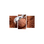 Casa si Gradina - Decoratiuni - Tablouri - Tablou multicanvas 3 piese Food and Drinks model 75, 150x90 cm - Infinity.ro