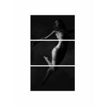 Casa si Gradina - Decoratiuni - Tablouri - Tablou multicanvas 3 piese model Erotic 14, 90x150 cm - Infinity.ro