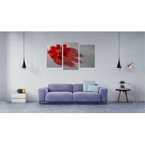 Tablou multicanvas 3 piese Food and Drinks model 214, 150x90 cm