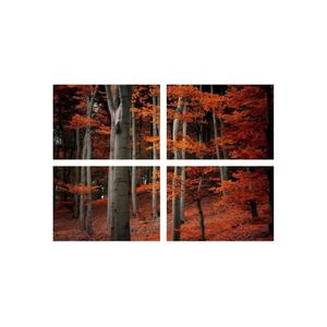 Casa si Gradina - Decoratiuni - Infinity.ro