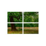 Casa si Gradina - Decoratiuni - Tablouri - Set tablouri Multicanvas 4 piese peisaj 125, 100x70 cm - Infinity.ro