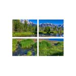 Casa si Gradina - Decoratiuni - Tablouri - Set tablouri Multicanvas 4 piese peisaj 113, 60x40 cm - Infinity.ro