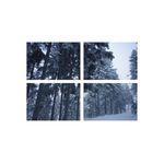 Casa si Gradina - Decoratiuni - Tablouri - Set tablouri Multicanvas 4 piese peisaj 183, 60x40 cm - Infinity.ro