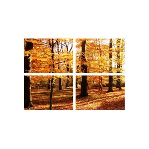 Casa si Gradina - Decoratiuni - Tablouri - Infinity.ro