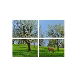 Casa si Gradina - Decoratiuni - Tablouri - Infinity.ro