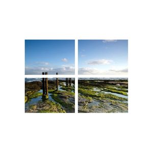 Casa si Gradina - Decoratiuni - Tablouri - Infinity.ro