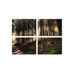 Casa si Gradina - Decoratiuni - Tablouri - Set tablouri Multicanvas 4 piese peisaj 33, 60x40 cm - Infinity.ro