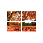 Casa si Gradina - Decoratiuni - Tablouri - Set tablouri Multicanvas 4 piese peisaj 23, 60x40 cm - Infinity.ro