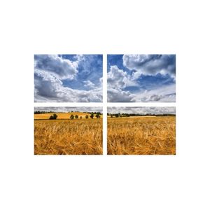 Casa si Gradina - Decoratiuni - Tablouri - Infinity.ro