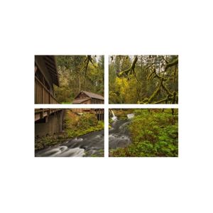 Casa si Gradina - Decoratiuni - Tablouri - Infinity.ro