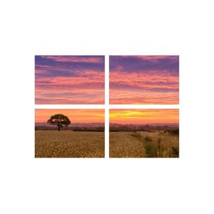 Casa si Gradina - Decoratiuni - Tablouri - Infinity.ro