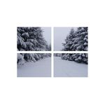 Casa si Gradina - Decoratiuni - Tablouri - Set tablouri Multicanvas 4 piese peisaj 16, 60x40 cm - Infinity.ro