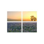 Casa si Gradina - Decoratiuni - Tablouri - Set tablouri Multicanvas 4 piese peisaj 118, 100x70 cm - Infinity.ro
