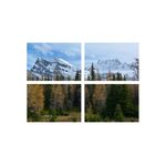 Casa si Gradina - Decoratiuni - Tablouri - Set tablouri Multicanvas 4 piese peisaj 160, 100x70 cm - Infinity.ro