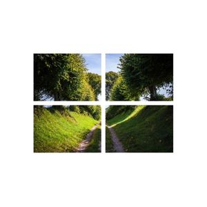 Casa si Gradina - Decoratiuni - Infinity.ro