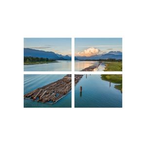 Casa si Gradina - Decoratiuni - Infinity.ro