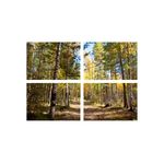 Casa si Gradina - Decoratiuni - Tablouri - Set tablouri Multicanvas 4 piese peisaj 47, 60x40 cm - Infinity.ro