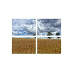 Casa si Gradina - Decoratiuni - Tablouri - Set tablouri Multicanvas 4 piese peisaj 44, 60x40 cm - Infinity.ro