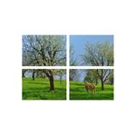 Casa si Gradina - Decoratiuni - Tablouri - Set tablouri Multicanvas 4 piese peisaj 42, 100x70 cm - Infinity.ro