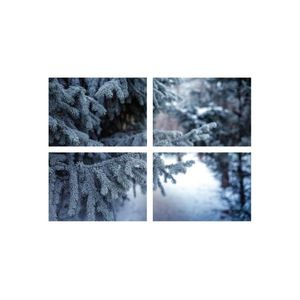 Casa si Gradina - Decoratiuni - Tablouri - Infinity.ro