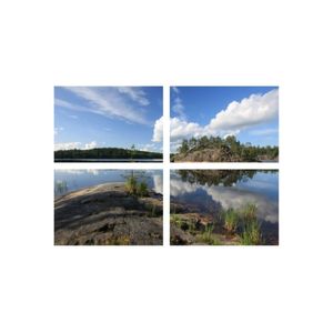 Casa si Gradina - Decoratiuni - Infinity.ro