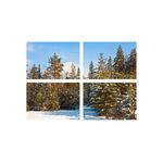 Casa si Gradina - Decoratiuni - Tablouri - Set tablouri Multicanvas 4 piese peisaj 164, 100x70 cm - Infinity.ro