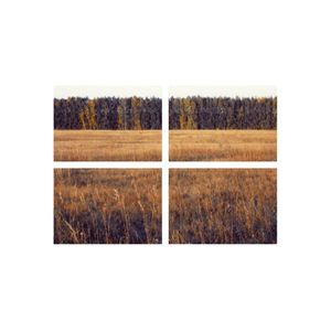 Casa si Gradina - Decoratiuni - Tablouri - Infinity.ro