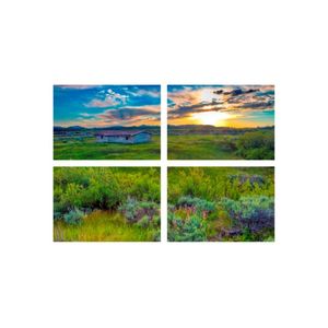 Casa si Gradina - Decoratiuni - Tablouri - Infinity.ro