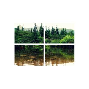 Casa si Gradina - Decoratiuni - Tablouri - Infinity.ro