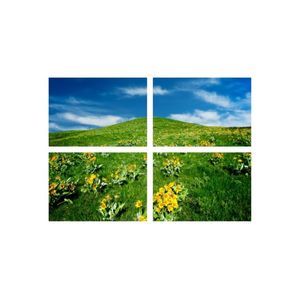 Casa si Gradina - Decoratiuni - Tablouri - Infinity.ro