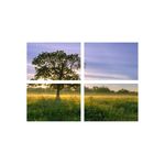 Casa si Gradina - Decoratiuni - Tablouri - Set tablouri Multicanvas 4 piese peisaj 184, 100x70 cm - Infinity.ro