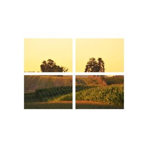 Set tablouri Multicanvas 4 piese peisaj 66