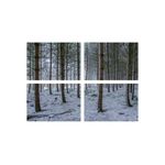 Casa si Gradina - Decoratiuni - Tablouri - Set tablouri Multicanvas 4 piese peisaj 87, 60x40 cm - Infinity.ro