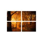 Casa si Gradina - Decoratiuni - Tablouri - Set tablouri Multicanvas 4 piese peisaj 82, 60x40 cm - Infinity.ro