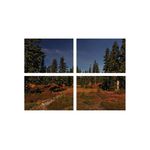 Casa si Gradina - Decoratiuni - Tablouri - Set tablouri Multicanvas 4 piese peisaj 195, 100x70 cm - Infinity.ro