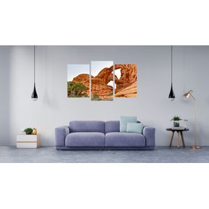 Casa si Gradina - Decoratiuni - Tablouri - Infinity.ro