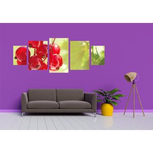 Casa si Gradina - Decoratiuni - Tablouri - Infinity.ro