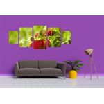 Casa si Gradina - Decoratiuni - Tablouri - Tablou multicanvas 5 piese Food and Drinks model 194, 220x90 cm - Infinity.ro